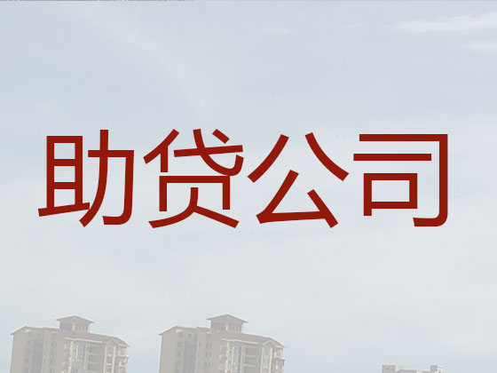 安国市抵押贷款公司-银行信用贷款